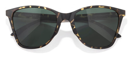 color Tortoise Forest