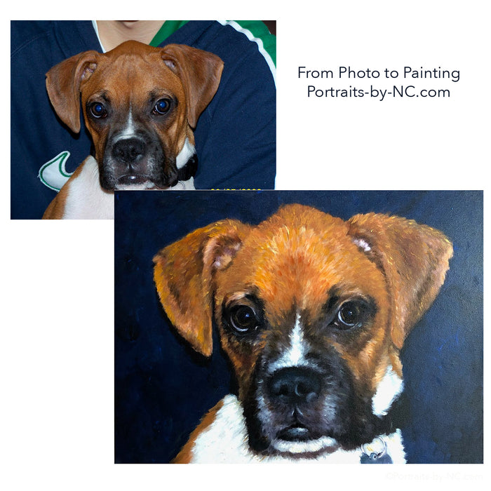 Boxer Puppy Oil Portrait 690 - Portraits by NC