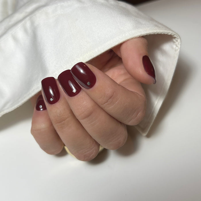 Anouk Nijs Maniac Nails gellak stickers Manicure Nail art bruin zilver