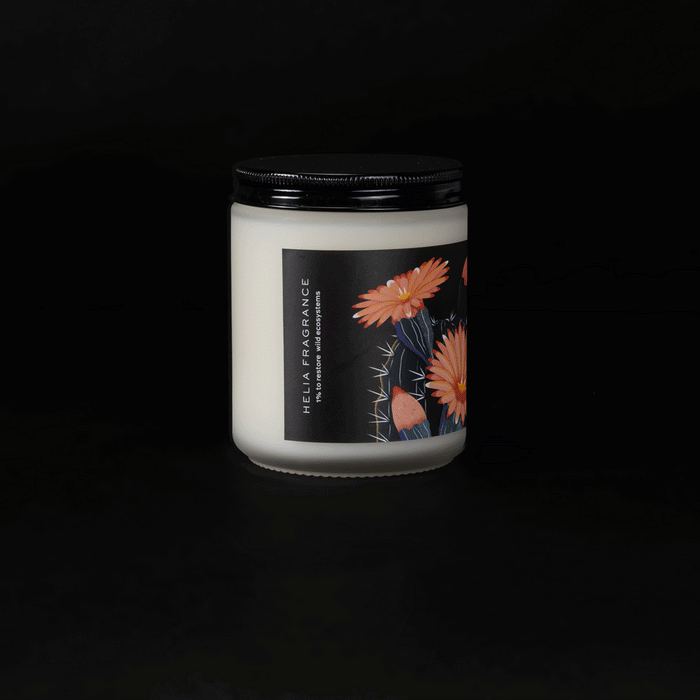 Cactus Blooms Soy Candle