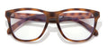 color Tortoise