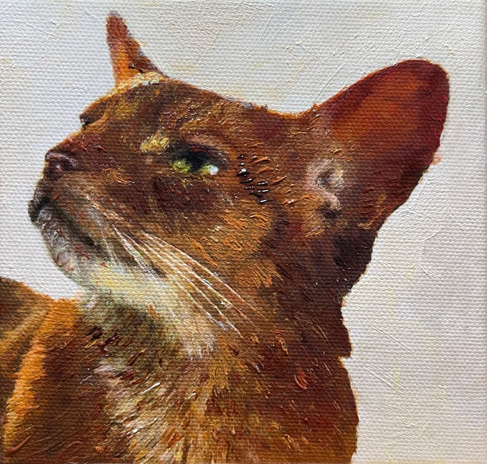 Commissioned Small Tabby Cat Portrait in Oil