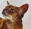 Commissioned Small Tabby Cat Portrait in Oil