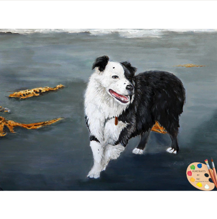 Australian Border Collie Dog Oil Portrait full image