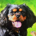 Cavalier King Charles Oil Portrait - Portrait of Huxley