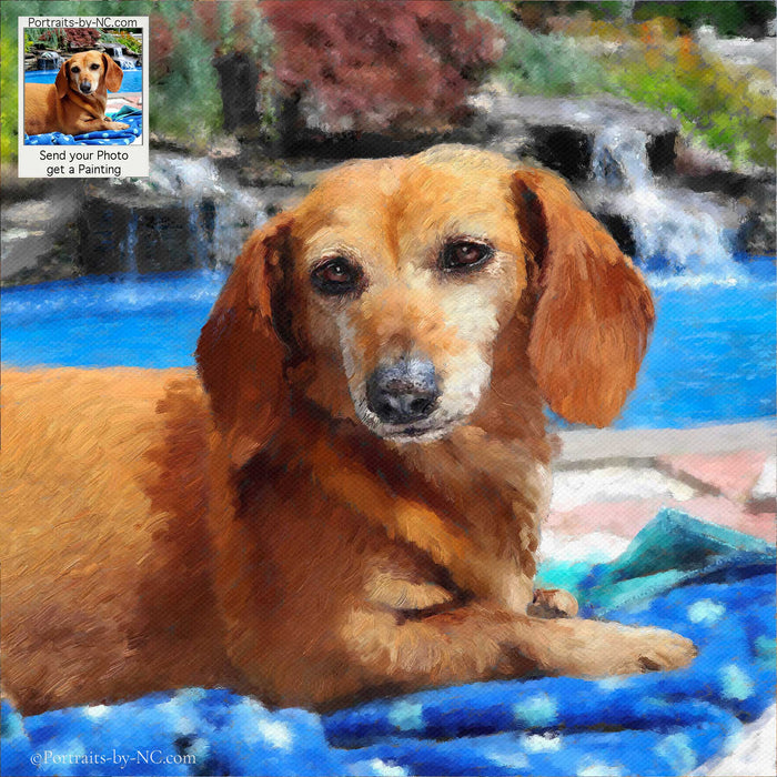 Dachshund Oil Portrait from Photo