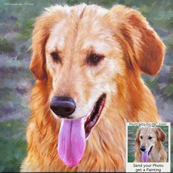 Golden Retriever portrait from photo