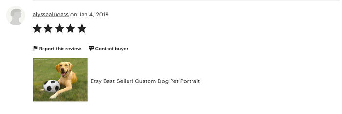 Golden Retriever Portrait Review