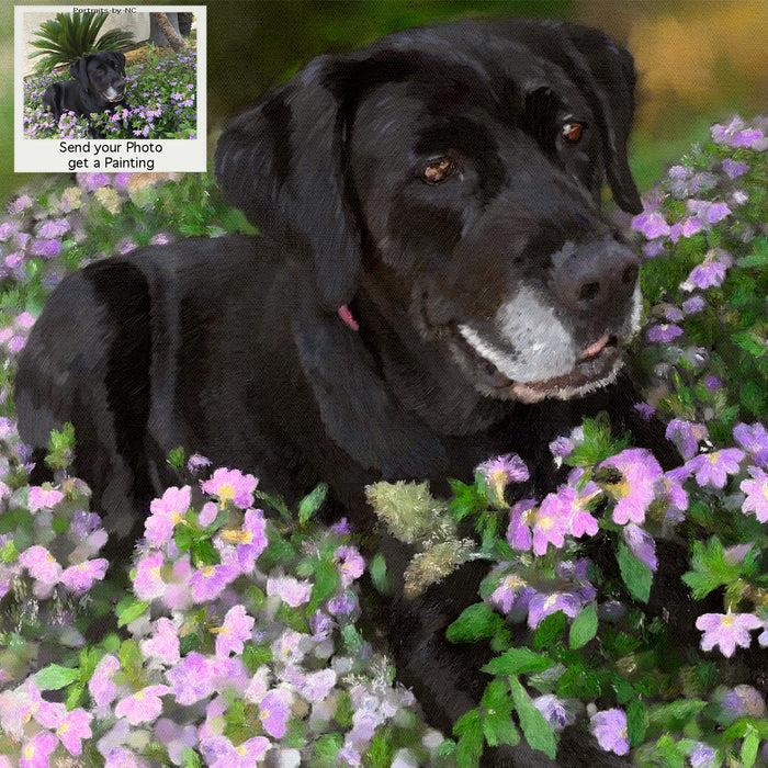 Labrador Portrait from Photo