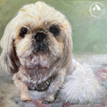 Custom Shih Tzu Dog Oil Portrait | Pet Art from Photo