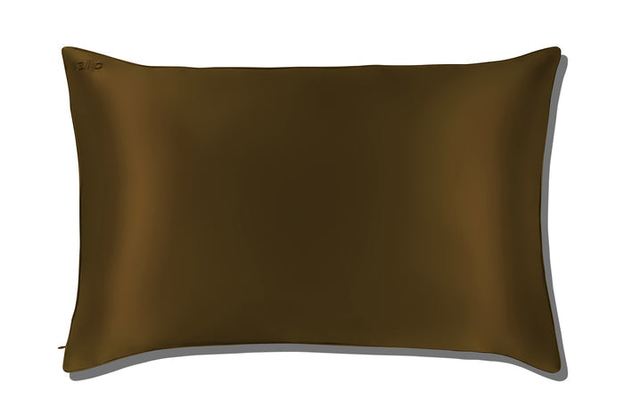 Brown silk pillow on a white background