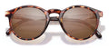 color Tortoise Amber