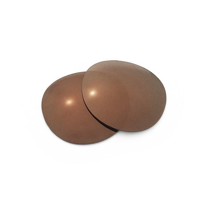 lifestyle Tortoise Amber 1