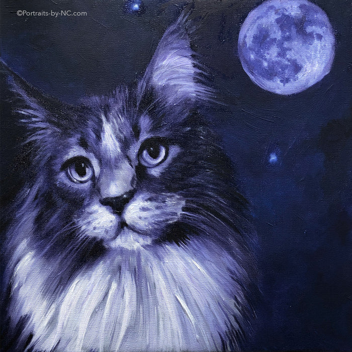 Maine Coon Cat Portrait
