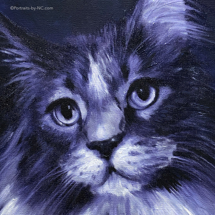Maine Coon Face