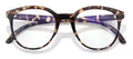color Tortoise