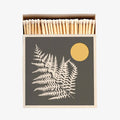 Matches: Gray Fern