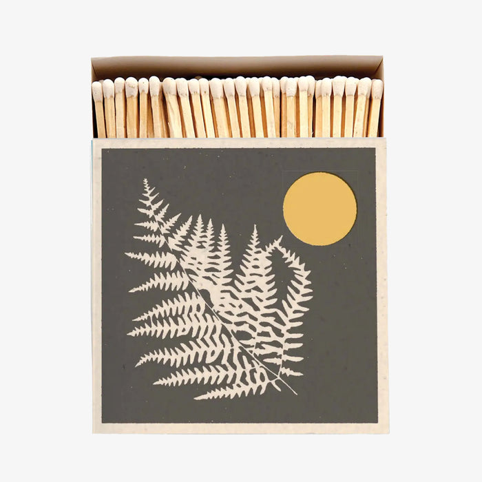 Matches: Gray Fern