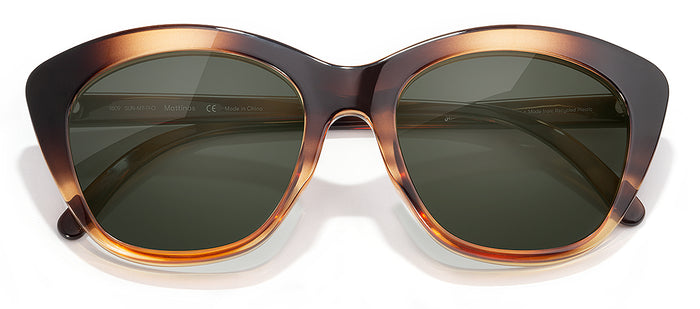 color Tortoise Forest