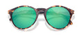 color Tortoise Emerald