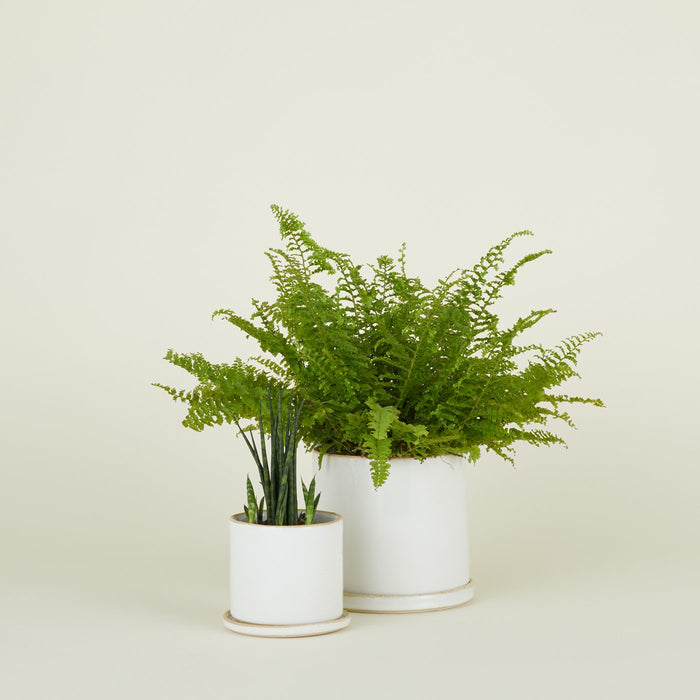 Minimal Planter