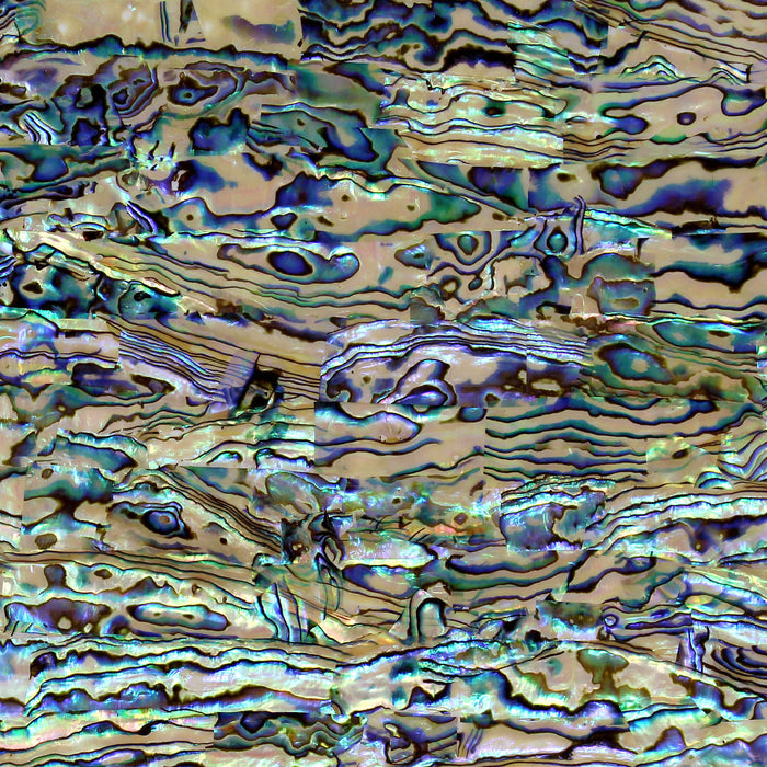 Natural, Light Abalone Shell Veneer