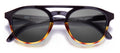 color Black Tortoise Slate