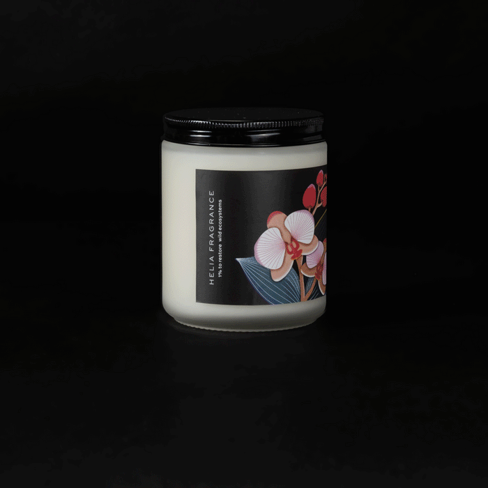 Orchid & Tonka Bean Soy Candle