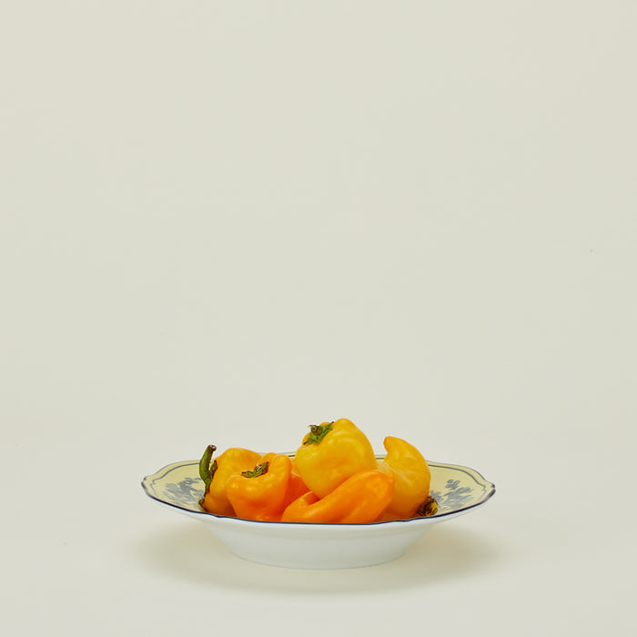 Ginori soup plate in citrino with peppers