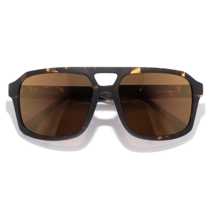 Tortoise Bronze