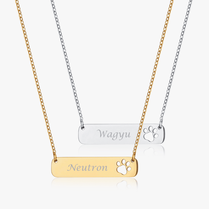 Paw Horizontal Bar Necklace (Pawsitive Change Collection) - Flaire & Co.