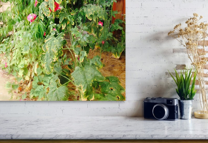 Stretched Canvas Print - The Forgotten Path - Landscape Print detail