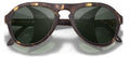 color Tortoise Forest