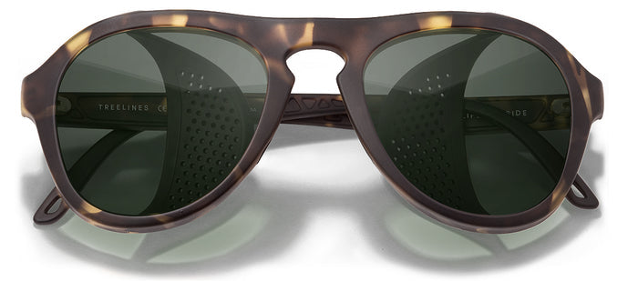 color Tortoise Forest