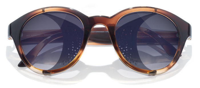 color Tortoise Ocean