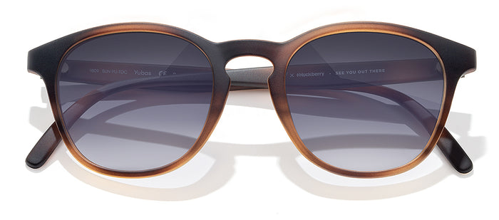 color Tortoise Ocean
